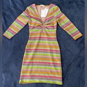 STR Multi Colored Striped Dress